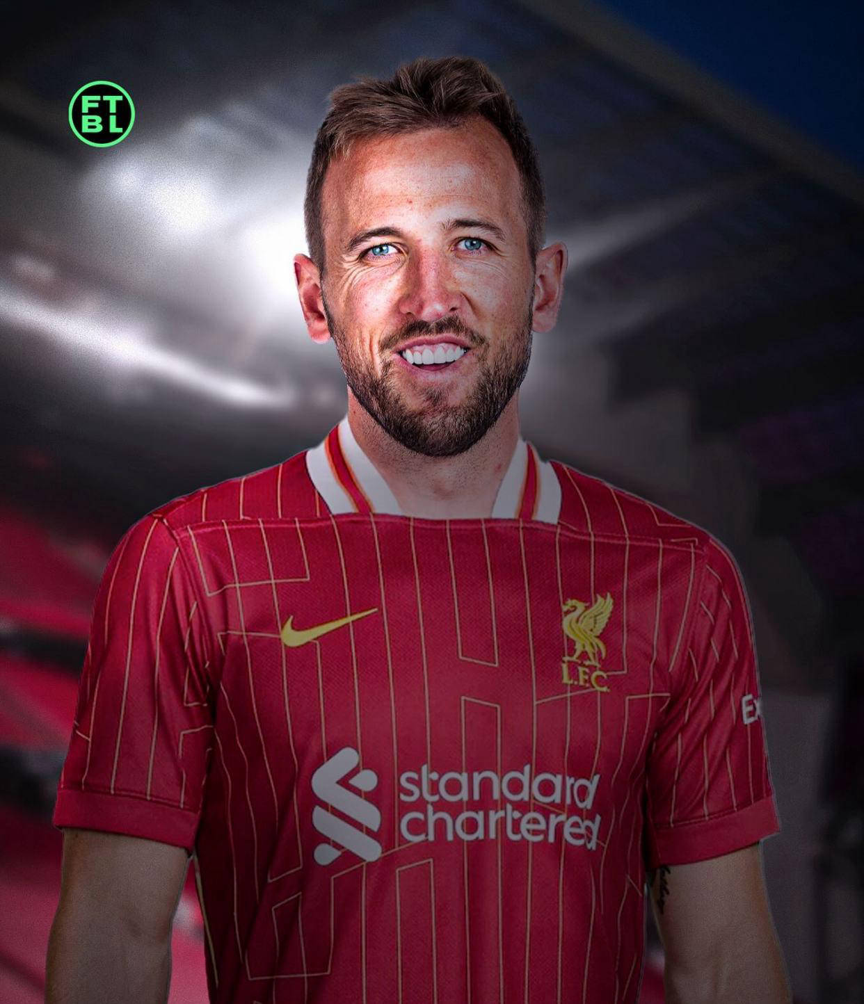 而是这个体 而是这个体