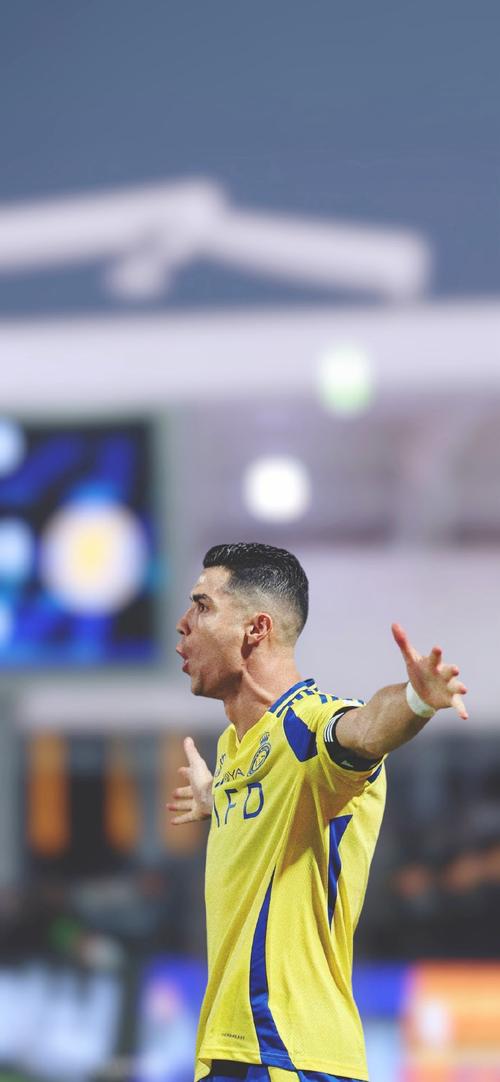 由此可见 由此可见